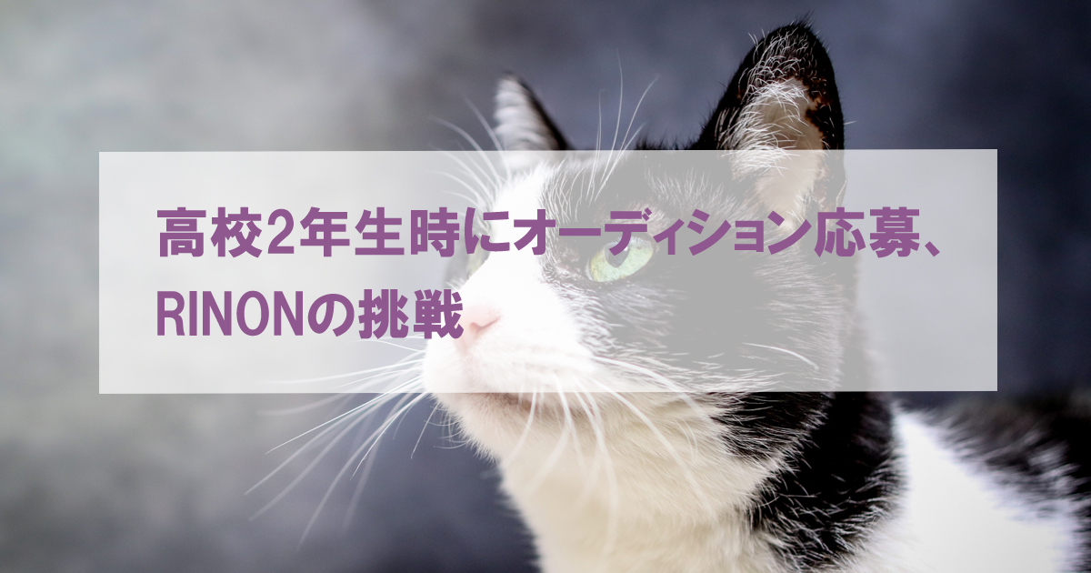 決意を秘めた猫