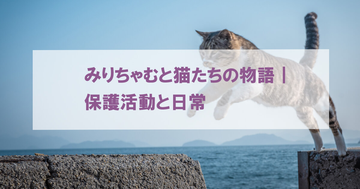 ジャンプする猫
